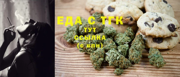 гашик Коряжма