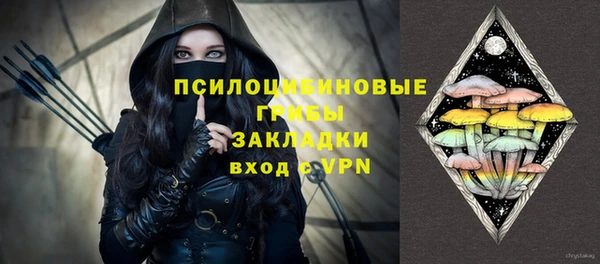 гашик Коряжма