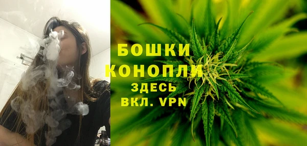 a pvp Краснослободск