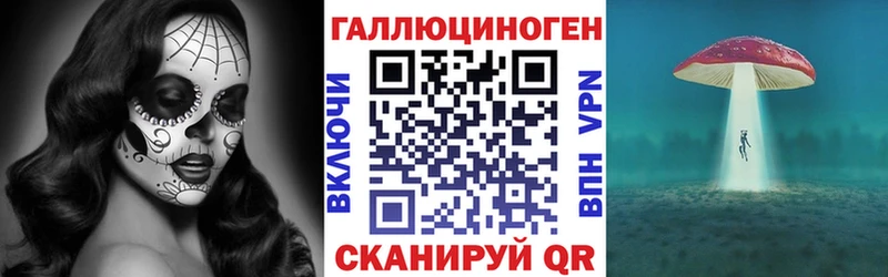 где купить наркоту  Черногорск  Псилоцибиновые грибы ЛСД 