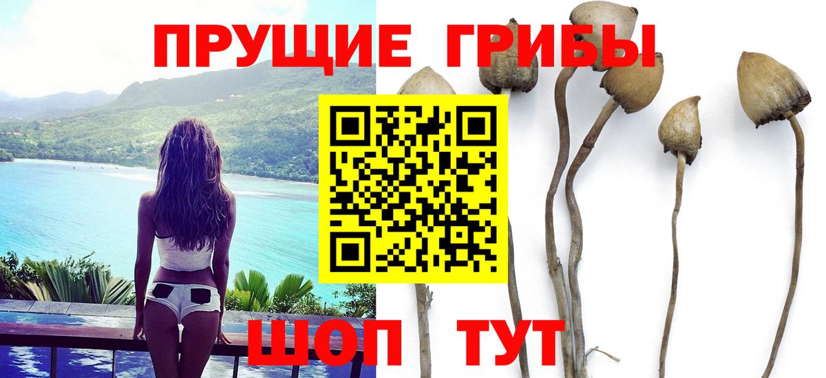 Галлюциногенные грибы ЛСД Черногорск