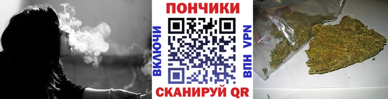 Бошки Шишки конопля  Черногорск 